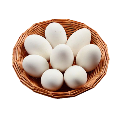 Trứng vịt