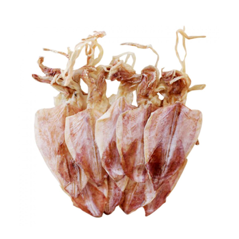 Mực sấy khô