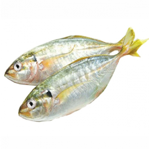 Cá ngân